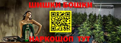 твердый Лесосибирск