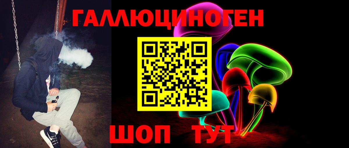 Псилоцибиновые грибы Cubensis  Вход с VPN  Будённовск  Псилоцибиновые грибы GOLDEN TEACHER 